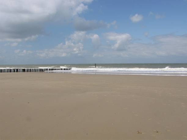 istock a beautiful sand beach at the dutch coast in cadzand 1318331333