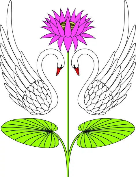 Vector illustration of Two Swans in Love