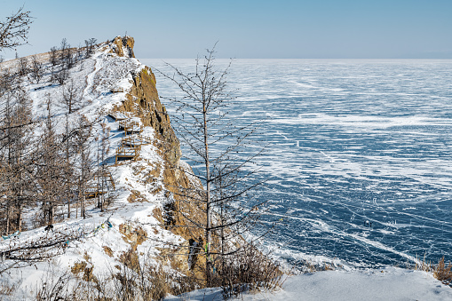 Rare young larch trees on the slope of a snow-covered hill in the steppe in the north of the island of Olkhon.