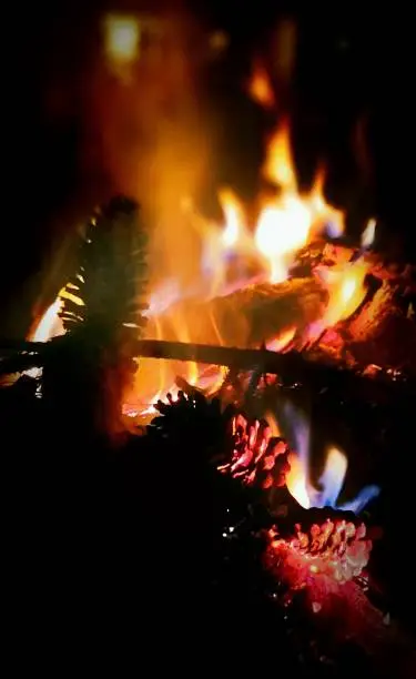 A night shot of a campfire