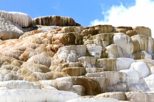 a view of the Mammoth Springs Terraces in Yellowstone National Park