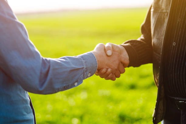 Handshake two farmer after agreement.  Two farmer standing and shaking hands in a  green wheat field. stock photo