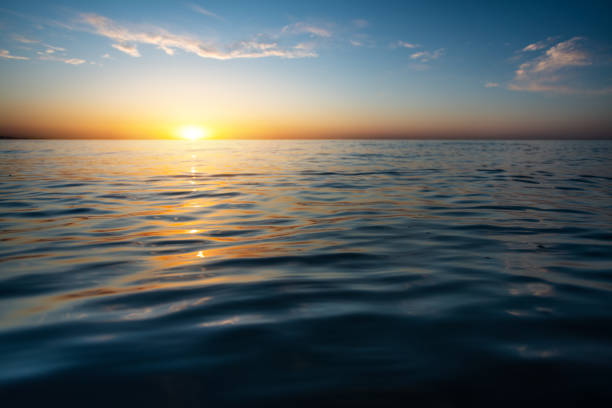 istock Beautiful sunset at the sea 1318338199