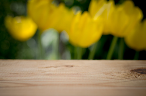 Wooden table close-up with a blurred background of yellow tulips. Yellow natural blurred background with wooden table for product advertising