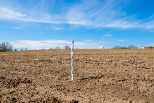 on the  field there is a small white pole with power lines running along it