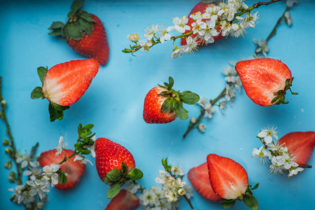 istock Fresh strawberries and blossom tree branch on blue pastel background top view 1318341949