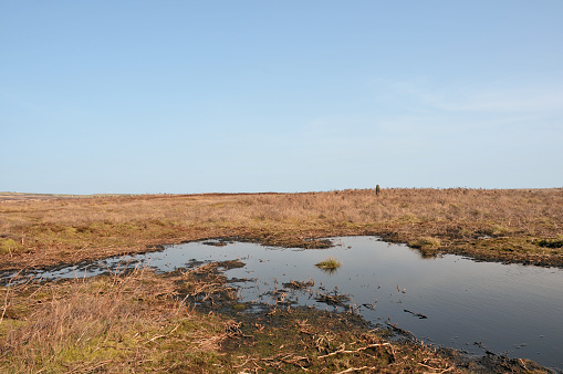 high pennine moorland on midgley moor in calderdale with a small pond reflecting the sky surrounded by cut bracken and a standing stone in the distance