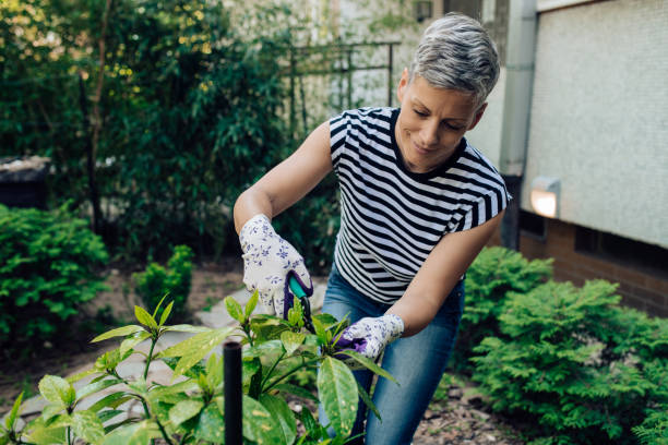 istock Woman planting flowers at her backyard 1318348778