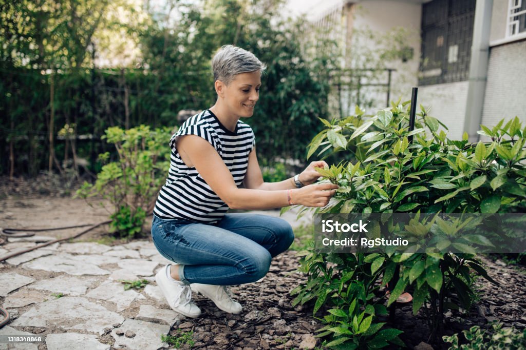 Happy Woman Planting Flowers At Her Backyard Stock Photo