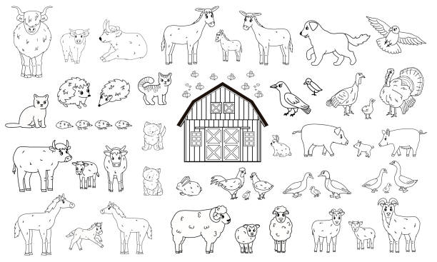 Set of outline cartoon farm animals. Vector collection of wooden barn, donkey goose cow bull pig hog chicken hen rooster goat sheep duck horse turkey cat dog hedgehog rabbit bunny birds Set of outline cartoon farm animals. Vector collection of wooden barn, donkey goose cow bull pig hog chicken hen rooster goat sheep duck horse turkey cat dog hedgehog rabbit bunny birds domestic animals stock illustrations