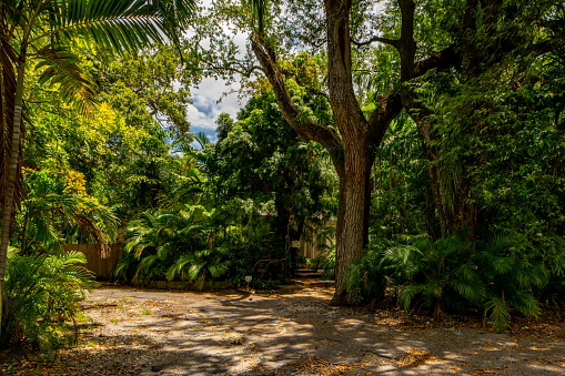 Miami, FL USA - May 15, 2021: Photo of a single family home in Coconut Grove neighborhood