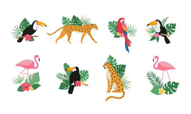 Cute toucan bird, parrot, flamingo, leopard with tropical exotic leaves and flowers of hibiscus and plumeria. Bright colorful vector animal illustration set in cartoon style tropical bird stock illustrations