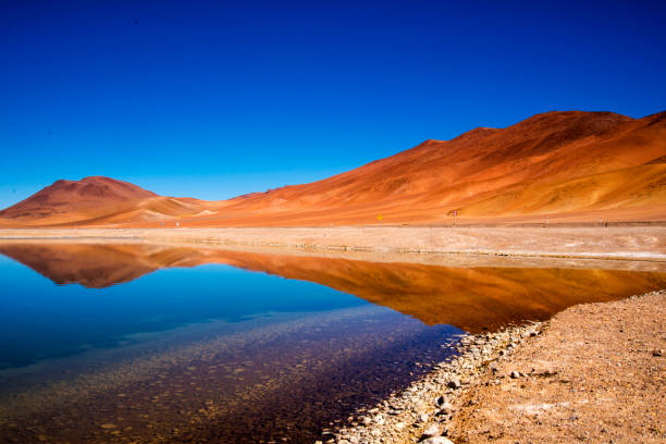 istock Salar de Tara, Atacama Desert 1318366238