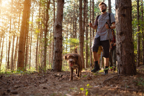 istock Friends in a search for a good camping spot 1318372591
