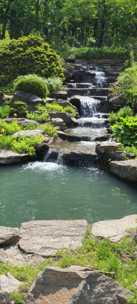 une chute d’eau paisible de palourde - tropical climate waterfall formal garden ornamental garden photos et images de collection