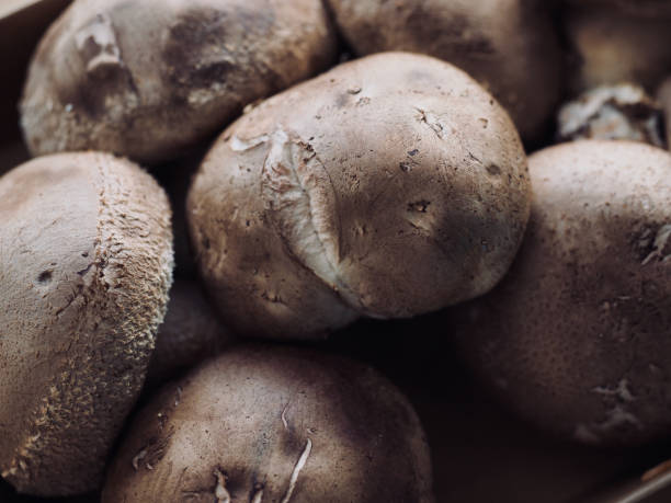 istock Fresh organic vegetables shiitake mushrooms 1318377855