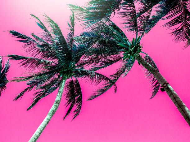 istock Colorful summer background with vibrant tropical palm tree. 1318379838