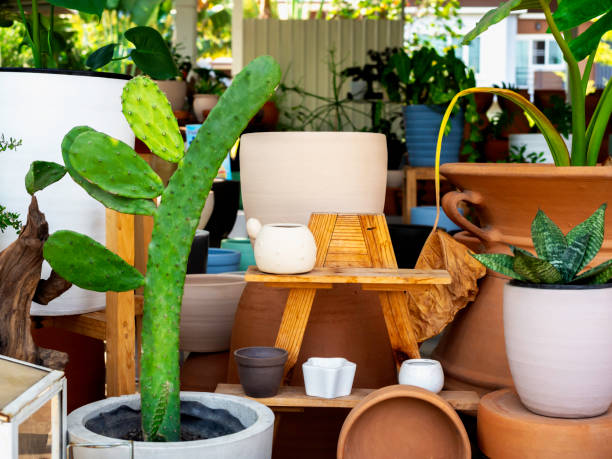 istock Various colorful plant pots in the shop. 1318379933