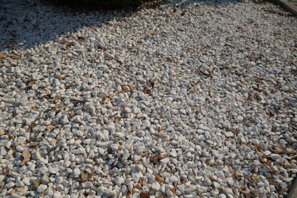 istock Brown and White pebble stone texture for background. 1318383971