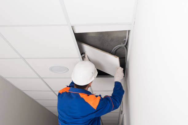 istock a worker in a helmet dismantles the suspended ceiling, rear view 1318389378