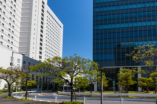 Photographing the Ariake promenade under the blue sky