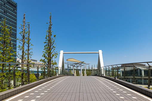 Photographing the Ariake promenade under the blue sky