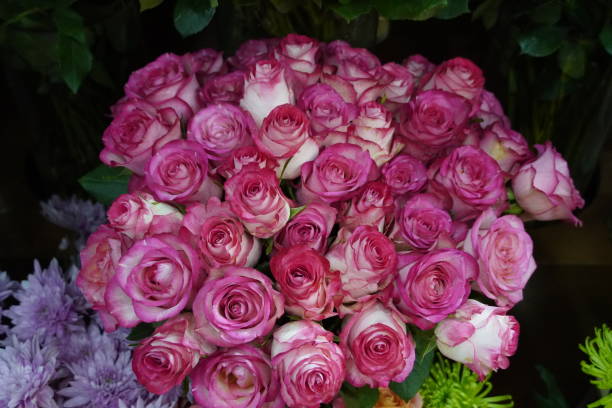 istock Bunch Of Pink Roses For Love Background. 1318393089