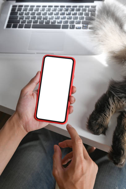 istock Close up view man using mobile phone near his cat sleeping on table. 1318394652