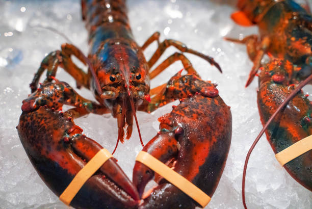 istock Whole lobster on ice 1318398133