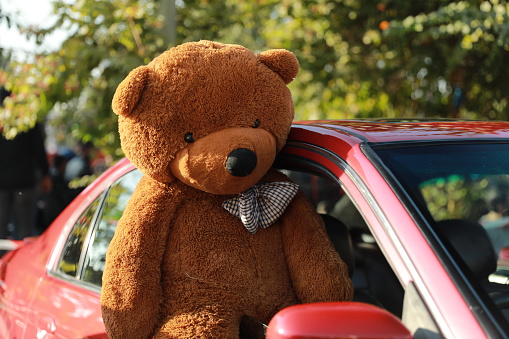Brown Cute Large Teddy Bear Posing With Hot Red Ferrari ,Rich Green Trees at the Back