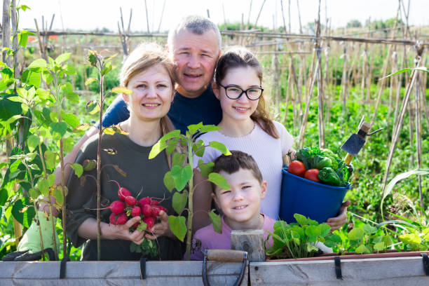 istock Family posing in garden with picked vegetables 1318401136