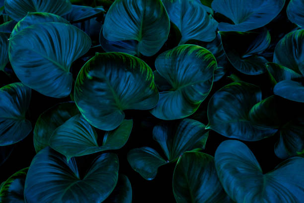 istock Full Frame of Green Leaves Texture Background. 1318402066
