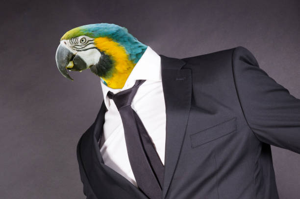 istock Parrot head in a black suit, isolated on black 1318403367