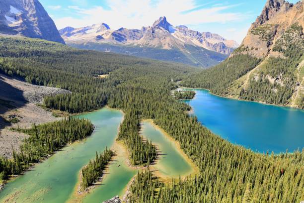 istock High angle view of Lake O'Hara 1318405379