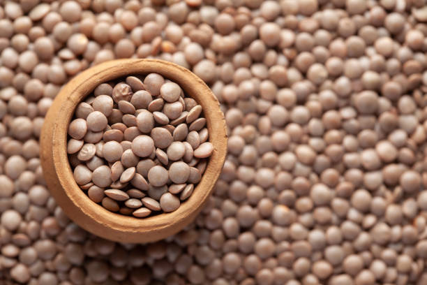 macro close-up of organic masoor dal (lens culinaris) or whole brown dal in an earthen clay pot (kulhar) on the self background. - lentil full frame macro close up imagens e fotografias de stock