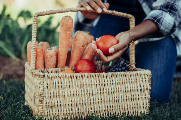 istock Close up mixed race female sorting through freshly harvested vegetables in basket 1318406949