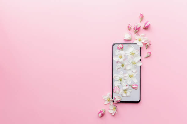 istock Pink flat lay concept of fresh spring and romantic content, phone, blossom 1318409496