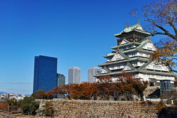 Osaka, Japan - October 11, 2023: The tall moat walls surrounding Osaka Castle, located in Osaka Castle Park in Chuo-ku, Osaka City, Osaka.
