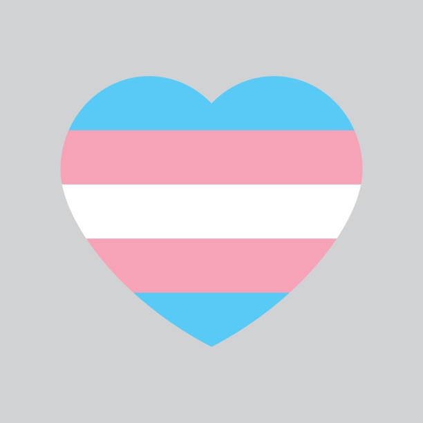 stockillustraties, clipart, cartoons en iconen met blauw, roze en wit gekleurd hartpictogram, als kleuren van de transgendervlag. - transgender