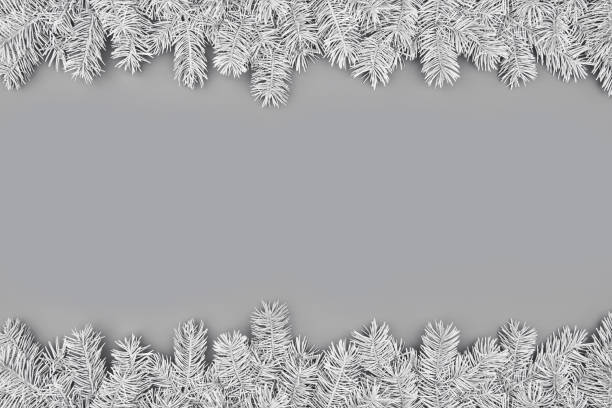 istock Christmas composition with borders of gray fir branches on gray background 1318411607