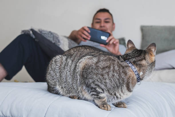 istock Man Takes Picture of Cat 1318412834