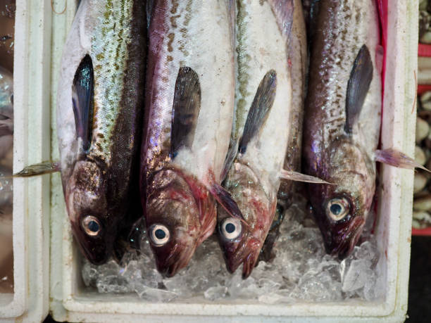 istock Fish, seafood, cooking ingredients, food 1318413098