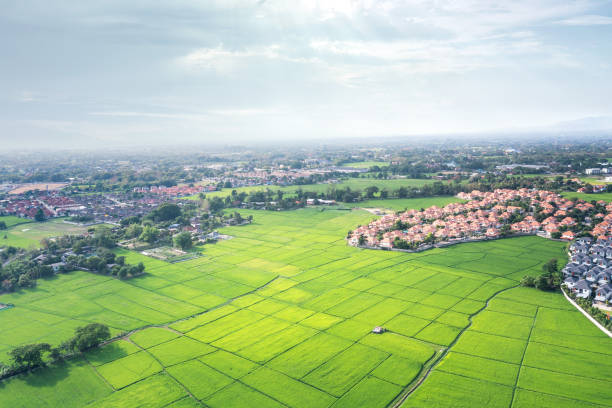 istock Land plot and green field in aerial view. 1318413328