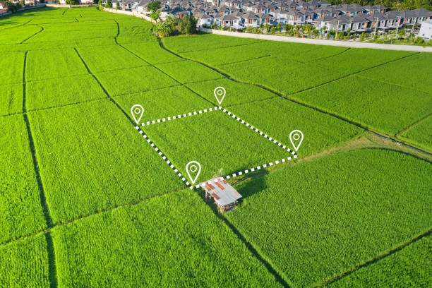 istock Land plot in aerial view for development or investment. 1318413335