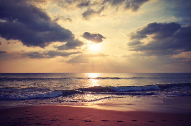 istock Tropical beach with footprints in sand at sunset. 1318415166