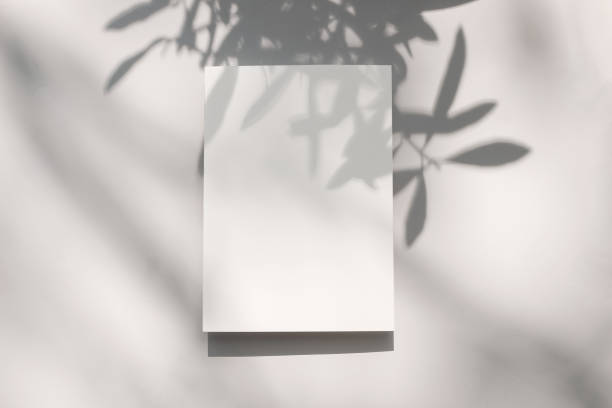istock Summer stationery mock-up scene. Blank vertical greeting card with olive tree leaf and branches shadow overlay. Baige table background in sunlight. Flat lay, top view. Modern Mediterranean design. 1318416448