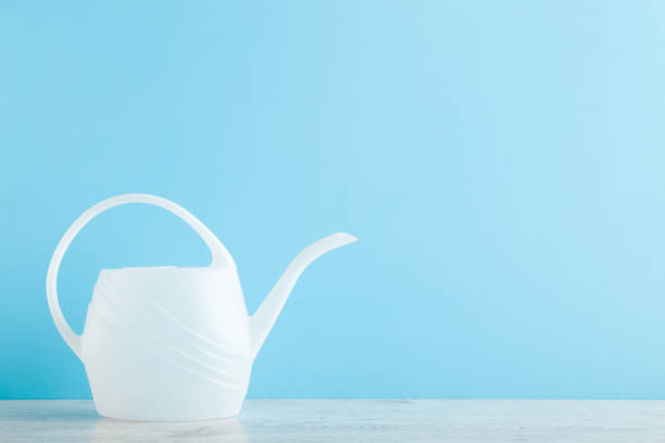 istock White plastic can for flowers and plants watering on table at light blue wall background. Pastel color. Closeup. Front view. Empty place for text. 1318417875