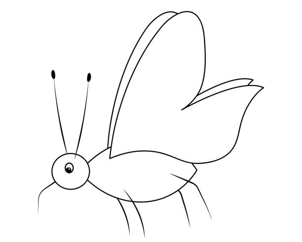 ilustrações, clipart, desenhos animados e ícones de mosquito. esquete. um inseto sugador de sangue com um proboscis pontiagudo. ilustração vetorial. livro de colorir para crianças. uma criatura fofa com bigode. contorno em fundo branco isolado. estilo doodle. - insecticide vector illness mustache