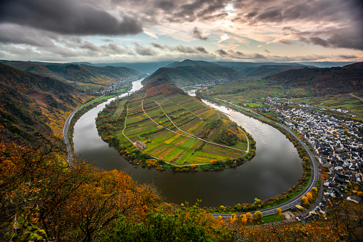 Beautiful Moselle river bend at Bremm in the Cochem-Zell district in Rhineland-Palatinate, Germany.