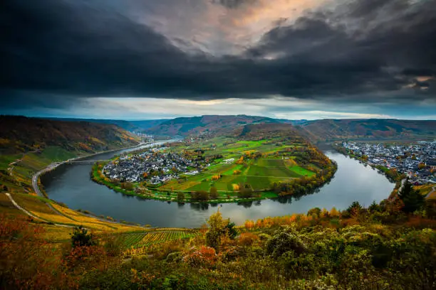 Beautiful Moselle (Mosel) River bend at the villages Wolf and Kröv in Rhineland-Palatinate, Germany. The river bend is surrounded by colorful vineyards at autumn time.